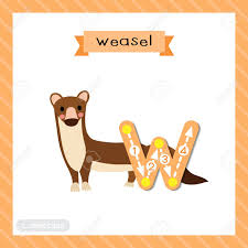 He has been featured as a tax expert on good morning americ. Letter W Lowercase Cute Children Colorful Zoo And Animals Abc Alphabet Tracing Flashcard Of Weasel For Kids Learning English Vocabulary And Handwriting Vector Illustration Royalty Free Cliparts Vectors And Stock Illustration Image