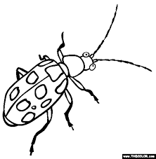 Get free beetle coloring pages here. Insect Online Coloring Pages