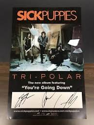 Sick puppies wrote and recorded this song. Sick Puppies Band Autographed Signed Concert Poster 11x17 Ebay