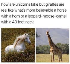 Am i crazy or is 40 feet way taller than what a giraffe actually is. Pin On Saweet Shit