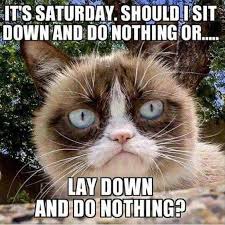 It S Saturday Funny Cat Memes Funny Saturday Memes Saturday Memes
