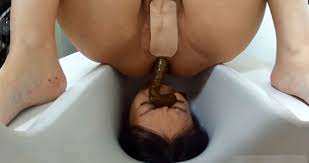 Asian Human Toilet (51 photos) - sex and porn