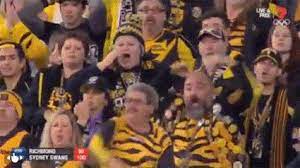 Free image hosting for gif upload. The Official Afl Crowd Meltdown Gifs And Memes Collection Bigfooty