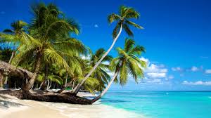 We did not find results for: Wallpaper Beautiful Beach Palm Trees Sea Blue Sky Clouds Tropical 5120x2880 Uhd 5k Picture Image
