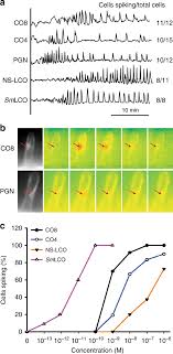 We did not find results for: A Combination Of Chitooligosaccharide And Lipochitooligosaccharide Recognition Promotes Arbuscular Mycorrhizal Associations In Medicago Truncatula Nature Communications