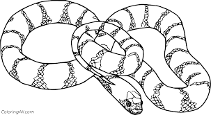 The article includes coloring sheets of different types of snake in their realistic and cartoon forms. King Snake Coloring Page Coloring Printable B108 Rescue