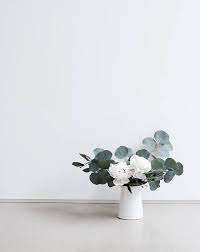Silver Dollar Eucalyptus 8 Oz Fresh Organic Sprigs Wedding Simple Flowers Flower Arrangements Beautiful Flowers