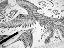 Apr 21, 2019 · camel toe is caused by your clothes not fitting correctly. Pencil Phoenix Bird Drawing