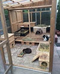 Bunny Pet Care Mom 25 Ideas Pet Bunny Rabbits Bunny House Pet Bunny