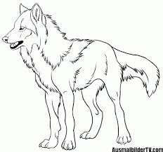Die wolf zum ausmalen sind in verschiedene schwierigkeitsstufen erhältlich. Malvorlagen Wolf Ausmalbilder Kinder Ausmalen Pferdezeichnungen