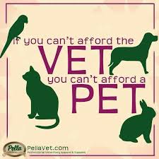 If You Can T Afford The Vet You Can T Afford A Pet Vet Tech Humor Veterinary Tech Vet Assistant