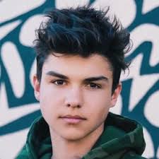 Hrvy has a massive fan base, and they are dying to know more about him. Harvey Petito Wiki Net Worth Dating Girlfriend Bio Age Height