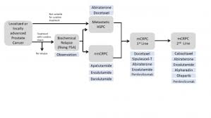 Prostate Cancer Treatment Management Approach Considerations Localized Prostate Cancer Management Of Advanced And Metastatic Disease