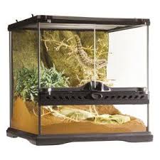 Awesome Exo Terra Terrarium I Want For A Leopard Gecko Reptile Terrarium Glass Terrarium Reptile Habitat
