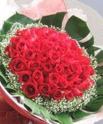 We did not find results for: Miss You Everyday 99 Red Roses Cambodia Florist Cambodia Fresh Flower Delivery