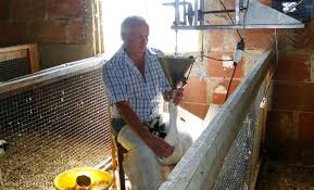 Lecon De Gavage A La Ferme Aux Canards Du Bois Bareirou Perigord Dordogne Foiegras Canard Bois Ferme