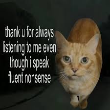 POV: You turned your cat into a pillow for 50% off in my bio! Follow  @catwithmic for daily cat memes First post: @olithechonk #cursedcats #cats  #catsofinstagram #cat #catlife #catperson #cursedcat #cursedcatimages  #weirdcats #