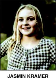 Record number of participants to take part in Clinton County Fair Princess  contest