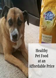healthy pet food at an affordable
