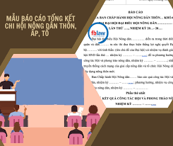 Báo cáo tổng kết chi Hội Nông dân thôn, ấp, tổ