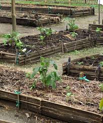 Irrigation System A Simple System For Gravity Fed Water Distribution