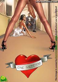 Innocent Dickgirls – The Wedding free Cartoon Porn Comic | HD Porn Comics