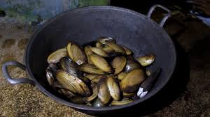 Masakan daging atau olahan berbahan daging merupakan. Cara Masak Kerang Kijing Masak Memasak