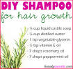 Diy Honey Shampoo