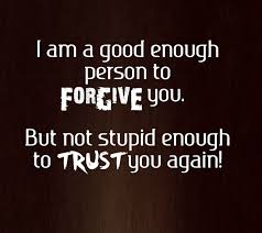 Not Stupid Quotes Quotesgram