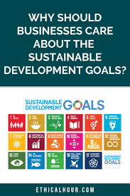 The Business Case For The Sustainable Development Goals Why Should Corporations Care Sustainable Development Un Sustainable Development Goals Sustainability