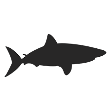 Gray Shark Silhouette Ad Sponsored Sponsored Silhouette Shark Gray Shark Silhouette Shark Reef Shark