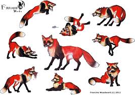 All png clipart pictures with transparent background are high quality, easy to use. Download Large Size Of Fox Girl Drawing Easy Cute Step By Anime Cat And Wolf Drawings Png Image With No Background Pngkey Com