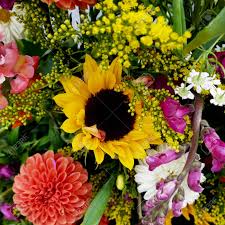 Flower art flower painting botanical decor trees to plant orange flowers flowers photography flower drawing flower artwork types of flowers. Colorful Bouquet Image Beautiful Flower Photo Mixture Of Flowers Stock Photo Picture And Royalty Free Image Image 78769138