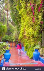 Jardin Majorelle Garden Marrakesh Morocco Africa Stock Photo 84702285 Alamy In 2020 Marrakesh Marrakesh Morocco Beautiful Buildings