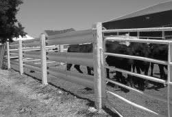 Check spelling or type a new query. Https Www Mertolenga Com Cattle 20hendling 20facilities 20 20kentucky 20university Pdf