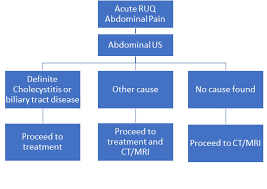 The quadrants are referred to as the left lower quadrant, left upper quadrant, r. Ultrasound Assessment Of Right Upper Quadrant Abdominal Pain Part 1 Mycme