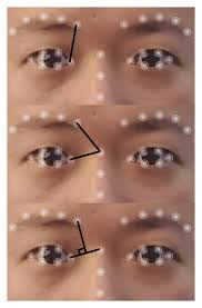 Landmark‐Based Facial Feature Construction and Action Unit Intensity  Prediction