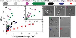 Njrc, alldatasheet, datasheet, datasheet search site for electronic components and. General Calibration Of Microbial Growth In Microplate Readers Scientific Reports