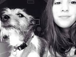 Did owners of lost doggos