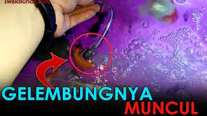 Cara membuat aerator sederhana dari dinamo. 2 Penyebab Kenapa Gelembung Udara Tidak Keluar Dari Pompa Celup Aquarium