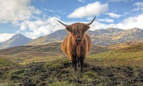 Explore scotland's lifetime of people, events, discoveries and turning points that not only changed the course of scotland's history. The Best Things To Do And See In Scotland Wanderlust