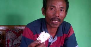Dari jenis yang menyebar pada seluruh wilayah indonesia sendiri terdapat beberapa jenisnya. Jenis Jenis Ambergris Kaya Mendadak Setelah Temukan Ratusan Kilogram Ambergris Selain Terbukti Kokoh Material Konstruksi Kayu Yang Sering Digunakan Adalah Kayu Juga Merupakan Salah Satu Sumber Daya Sambungan Parohan