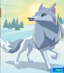 Pin By Emry Vue On Animal Jam Animal Jam Animal Jam Drawings Animal Jam Play Wild