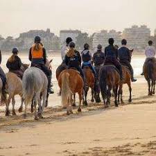 Vous disposez de droits d'accès, de rectification, d'effacement, de portabilité, de limitation, d'opposition. Equitation Loire Atlantique 44