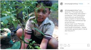 Apa Yang Dimaksud Tugas Terstruktur Dan Tidak Terstruktur Gurune Net