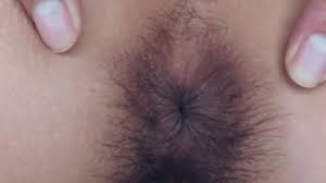 JAPANESE HAIRY ASSHOLE SPREAD - ASS WORSHIP - ePorner Video