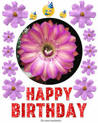 We like to hand select the best gifs found on the internets.the tiny gifs can be as old as 1999. Beautiful Blooming Flower Birthday Gif