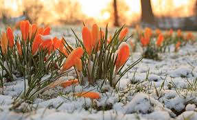 Image result for late winter early spring photos