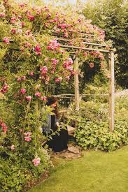 A Visit To Le Jardin De Berchigranges Visitvosges All Plants Plants Outdoor