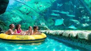 The seaworld preschool fun card offer is not available at the park; Children Ages 5 Under Get Free Admission To Seaworld Aquatica